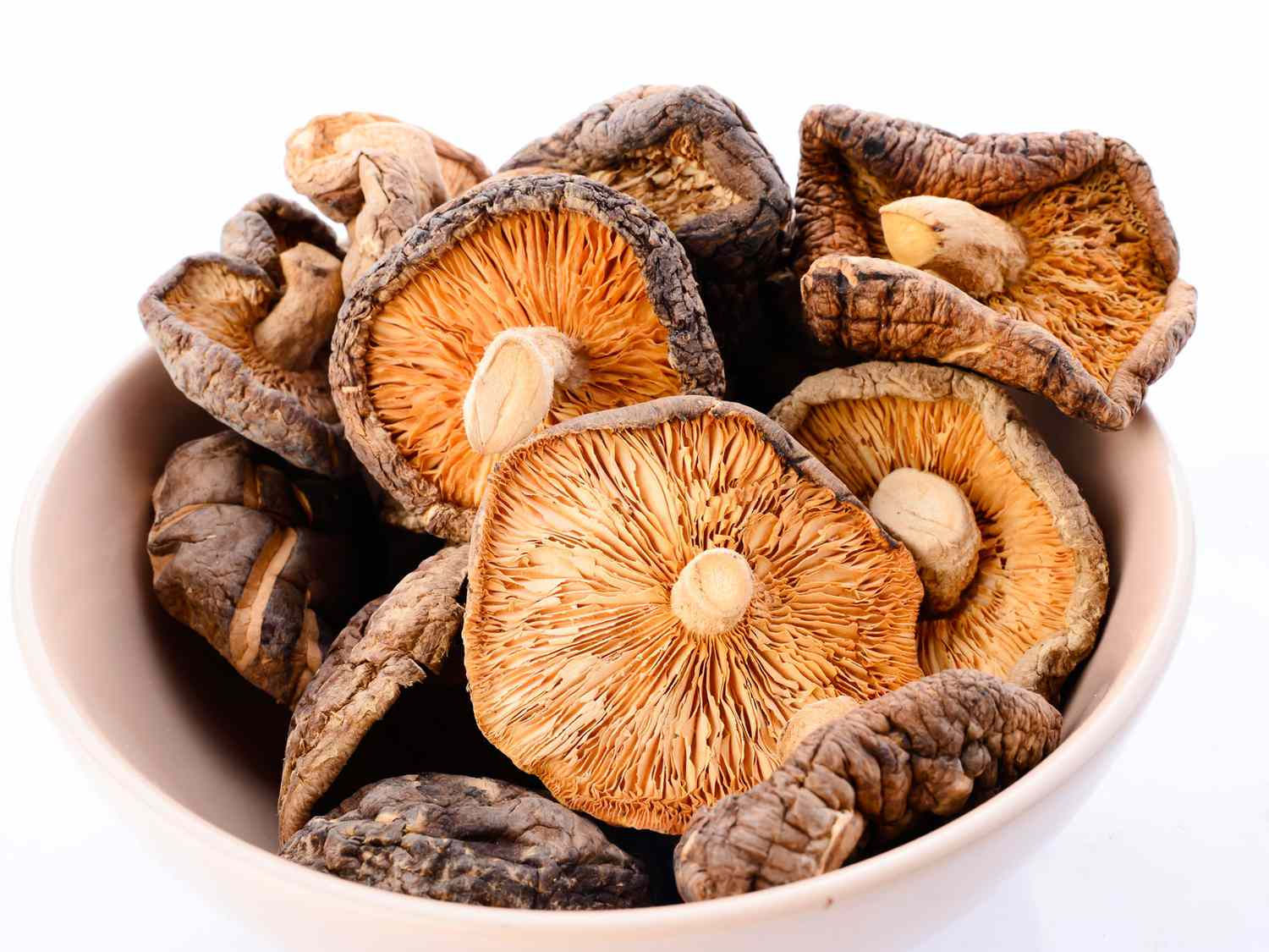 Dry Portobello Mushroom