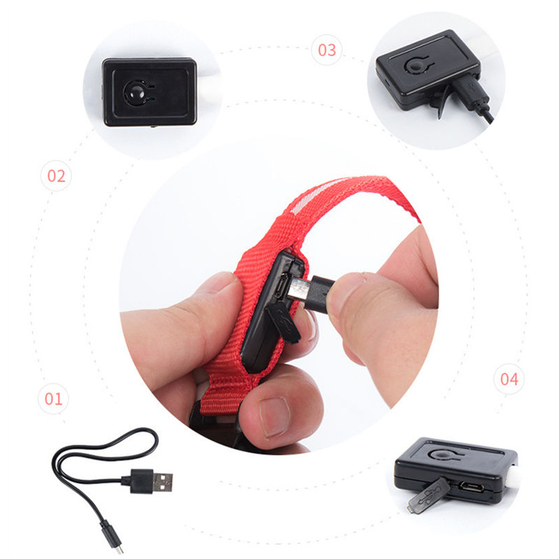 Thumbnail: 3 Modes Dog Luminous Charge Collar Led Usb Cat Dogs Collars Detachable Night Led