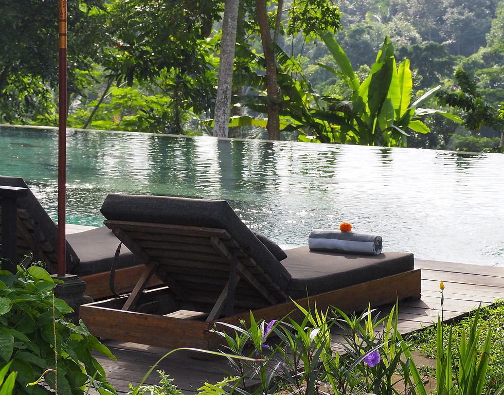 P7065054 - Copie.jpeg