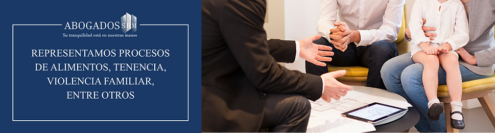 derecho familia 2.png