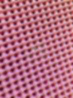 Thumbnail: LARGE-PINK