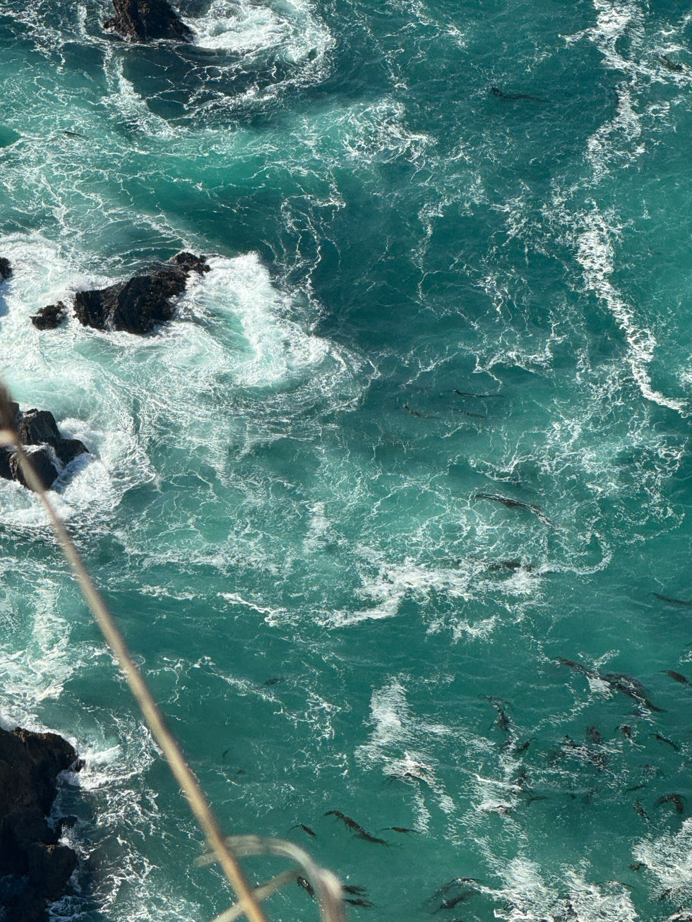 Bixby Bridge Water