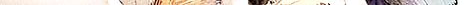 IMG_3411_edited_edited.png