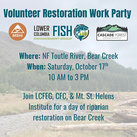 NF Toutle Bear Volunteer Promotion.png