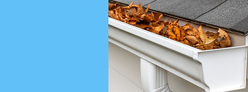 ChatGPT Image Jul 30, 2025 at 02_35_13 P