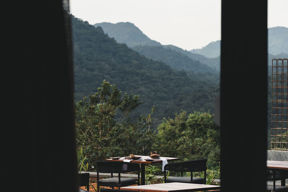Silverback Lodge, Bwindi Impenetrable Forest, Uganda - All Out Safaris Safari Travel Agency