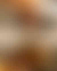 Gianni Creative Studio - Food Photographer and Videographer in Gauteng, South Africa