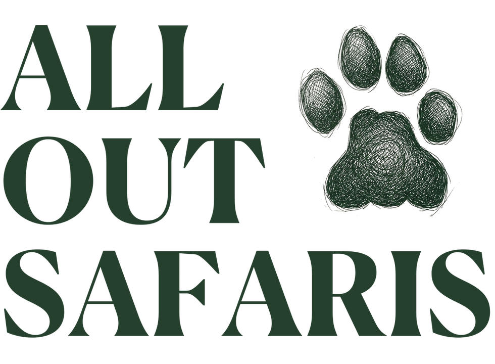 Copy of All Out Safaris Logos.png
