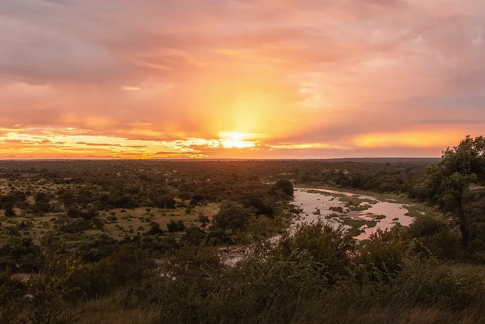 Klaserie Private Nature Reserve - Safari Travel Agency