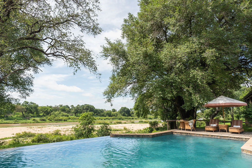 MalaMala Rattray's Camp MalaMala Private Game Reserve in Sabi Sands Nature Reserve - All Out Safaris Safari Travel Agency