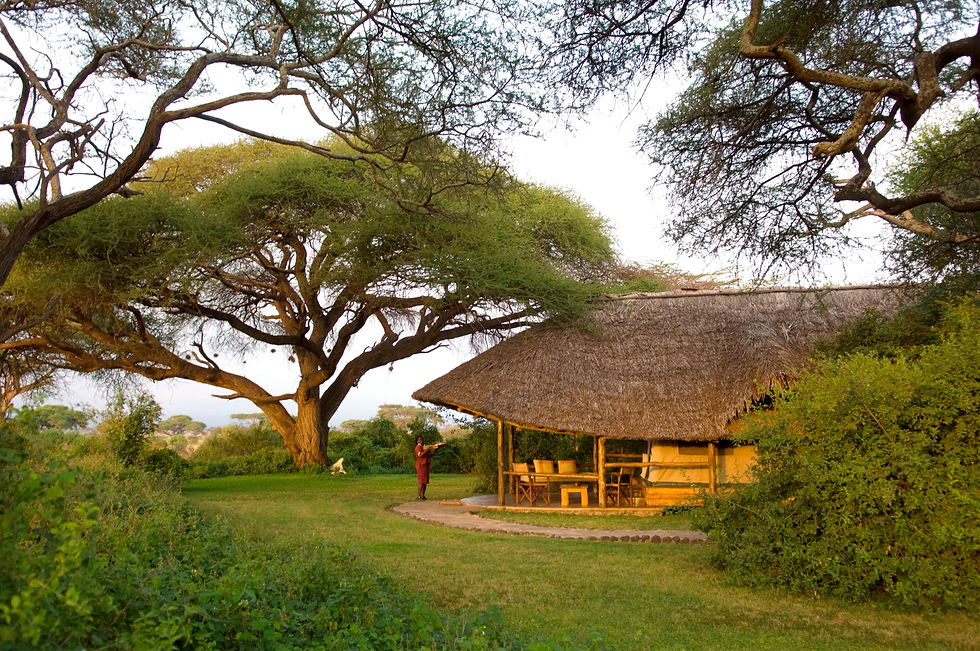 Elewana Tortilis Camp, Amboseli National Park, Kenya - All Out Safaris Safari Travel Agency