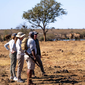 Safari bush walk experience with guide and guests and elephants in the background in South Africa