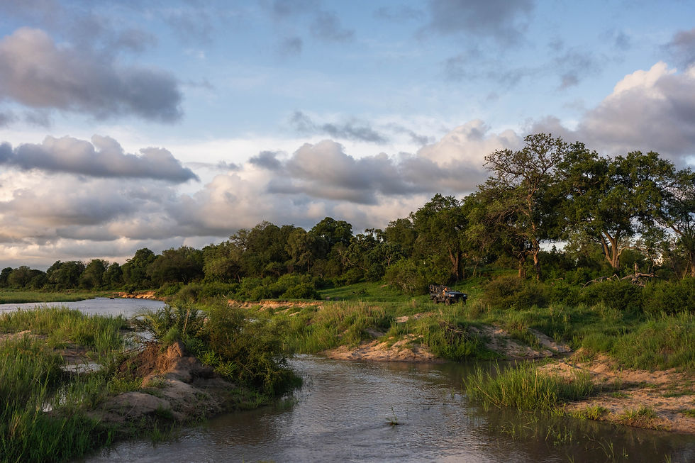 MalaMala Game Reserve landscape (Sabi Sands Nature Reserve) - Safari Travel Agency