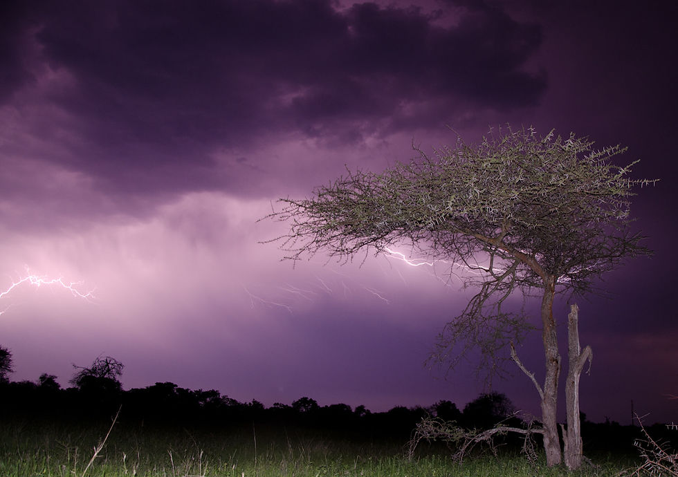 Lowveld storm photography in Sabi Sands Nature Reserve - Safari Travel Agency