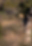 Kruger National Park Safaris