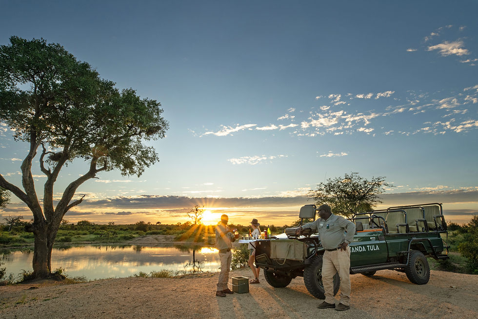 Quieter and wild safari experience Timbavati Private Nature Reserve - Safari Travel Agency