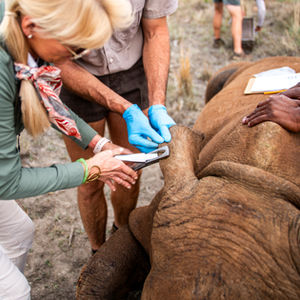 Conservation Storytelling in Madikwe