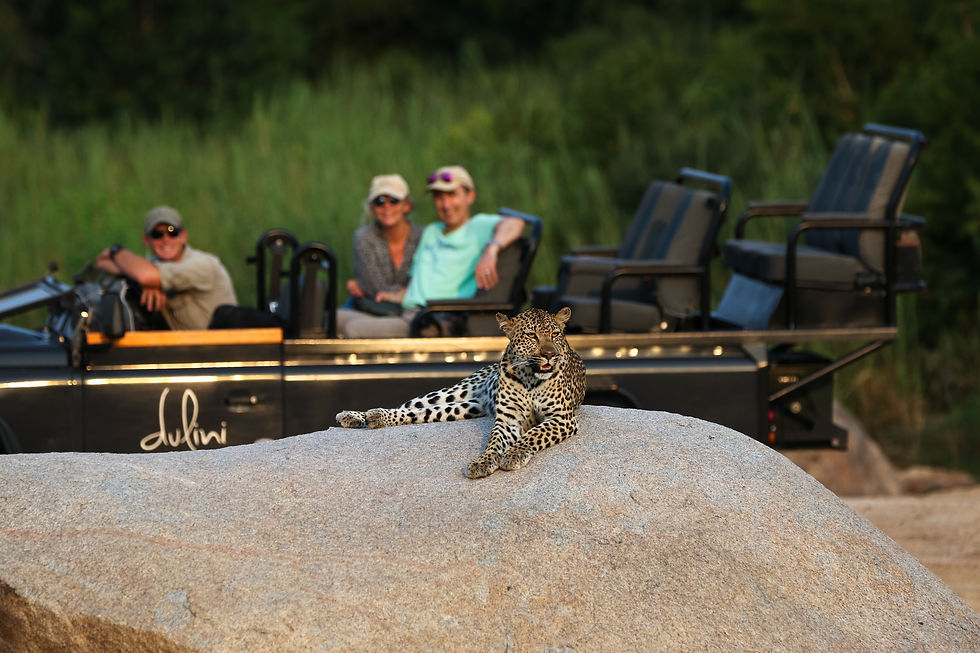 Sabi Sands Nature Reserve - Safari Travel Agency