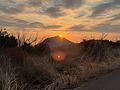 Photo taken on safari by our guest in Pilanesberg National Park