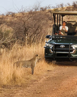 All Out Pilanesberg Safari - Prestige Safari Motsamai Sighting