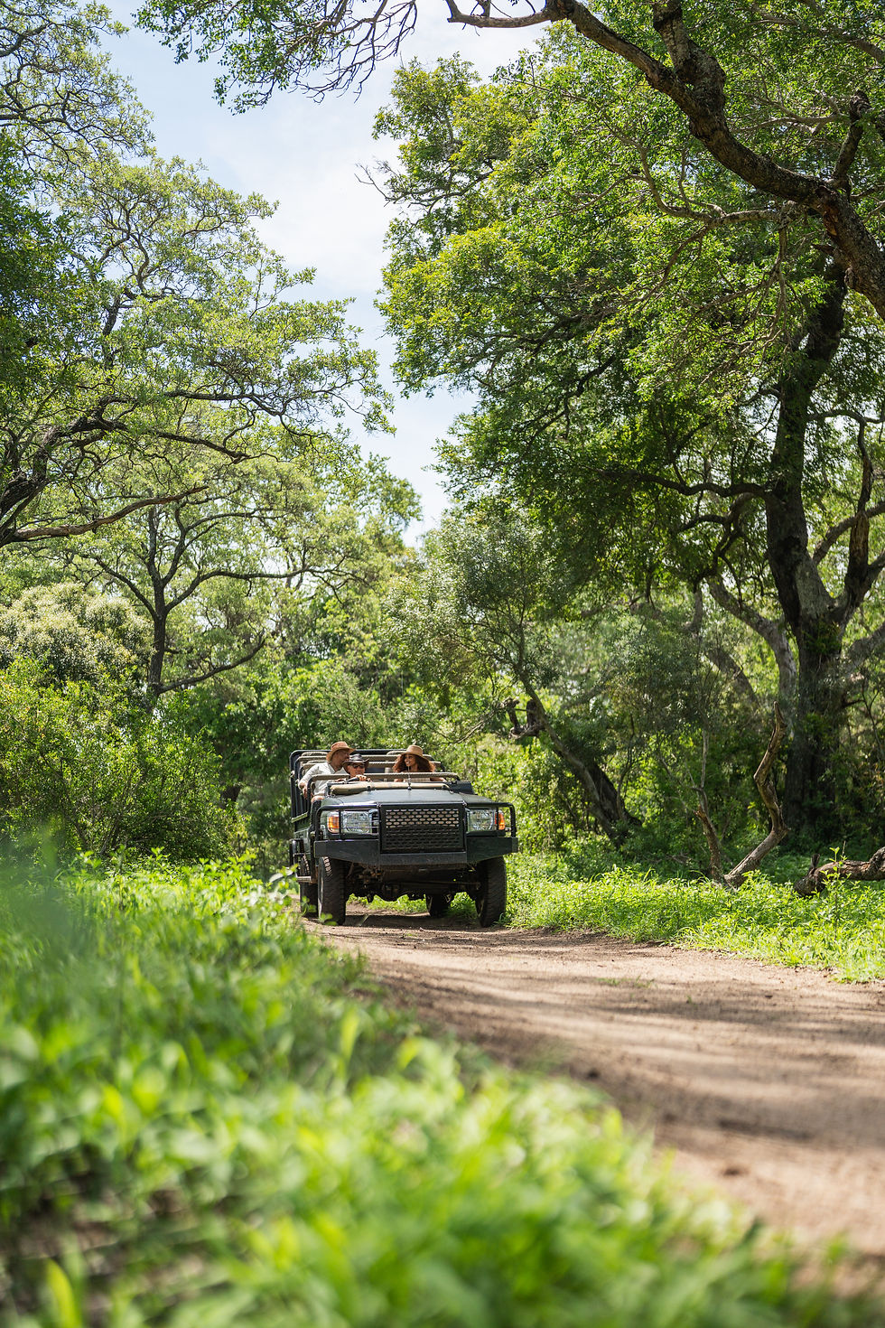 Exclusive wildlife viewing in open safari vehicle MalaMala Game Reserve (Sabi Sands Nature Reserve) - Safari Travel Agency