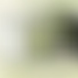 Google unveils completely redesigned Android 12