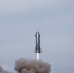 SpaceX Wins NASA $2.9 Billion Contract to Build Moon Lander