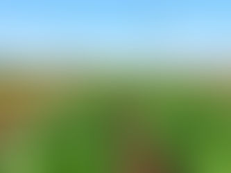 🚀 SM-Boy explore Telaqua : l’agriculture connectée et durable à Marseille