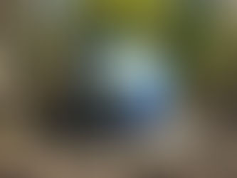 🪐 Tri’N’Collect : quand SM-Boy explore la startup du recyclage spatial de la Terre