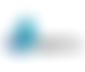 SM-Boy raconte Sunbirds, la startup des drones solaires