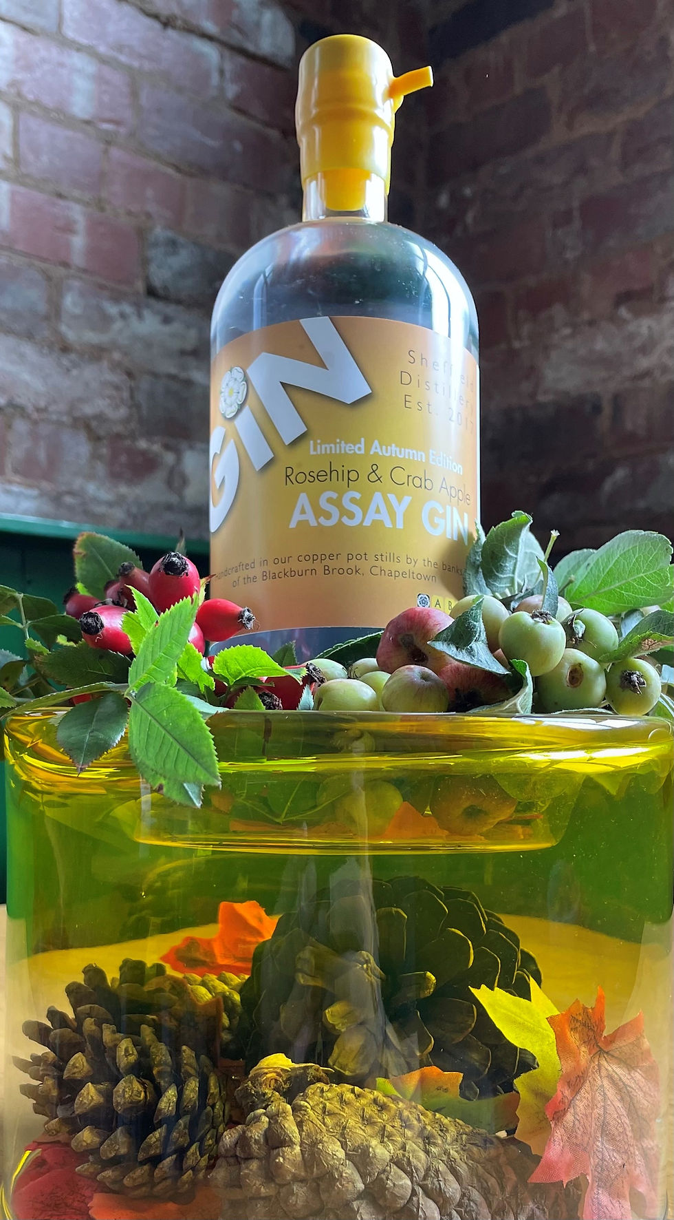 Thumbnail: Autumn Limited Edition- Assay Rosehip & Crab Apple Gin 45%