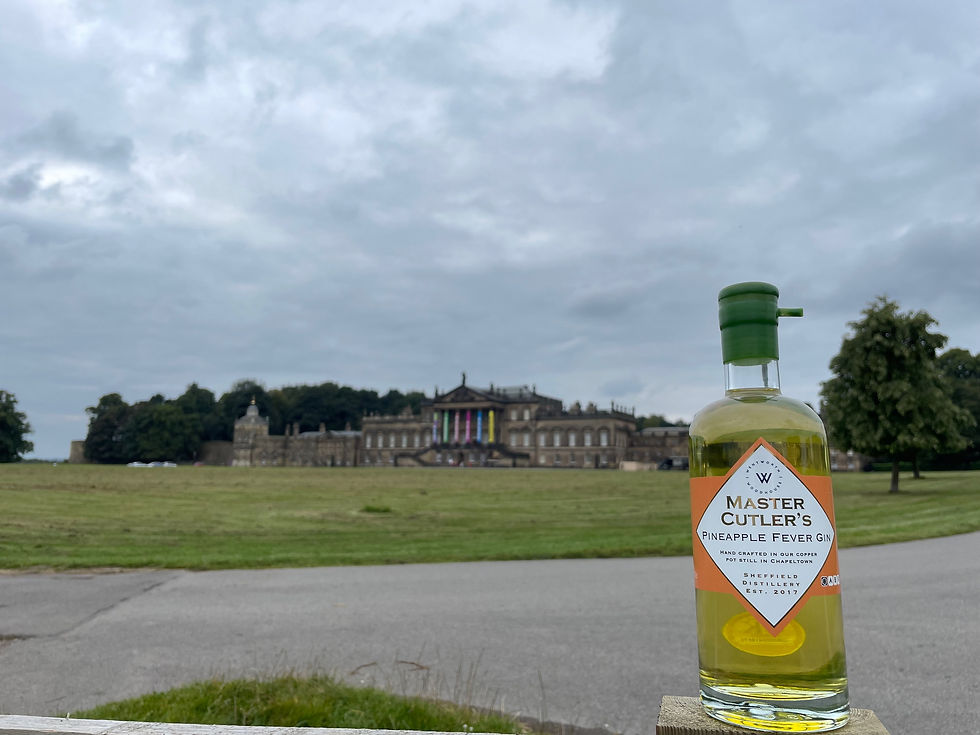 Thumbnail: Master Cutler’s Pineapple Fever Gin
