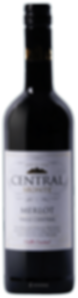 Central Monte Merlot