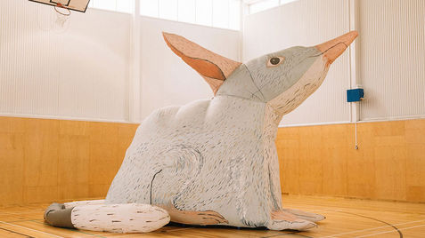 Large inflatable puppet of a white bilby in a school gym setting