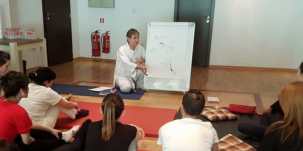 Seiki Shiatsu International workshops with Calisar sensei (4)