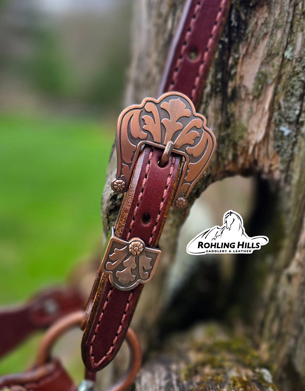 Thumbnail: Prickly Pear Lariat Halter