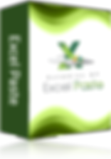 Dynamics GP Excel Paste