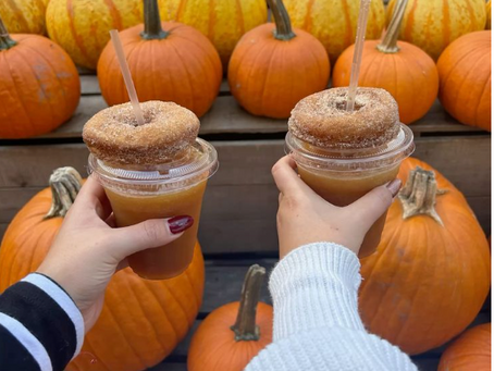 What’s on the MUUZ Fall Agenda