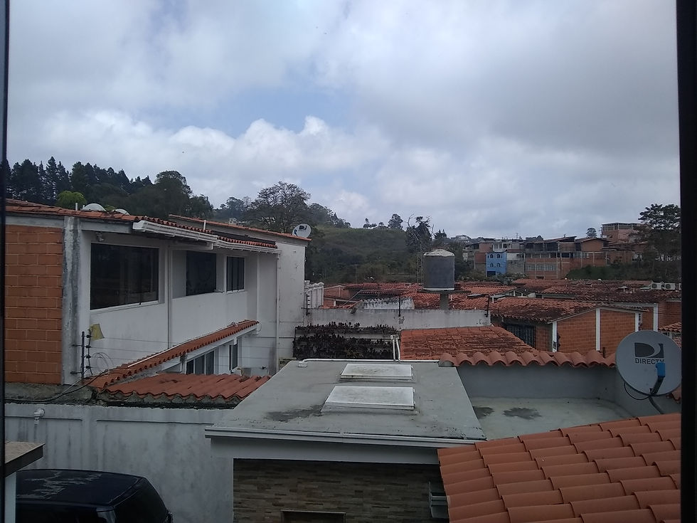 Vista