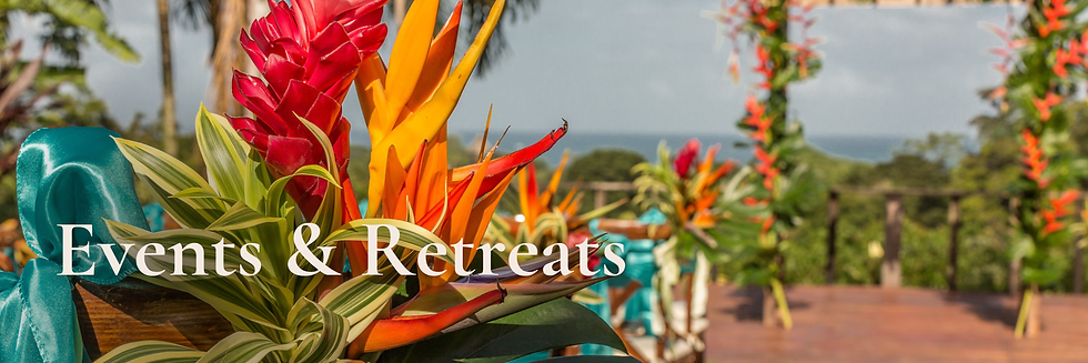 BT Website Banners.png