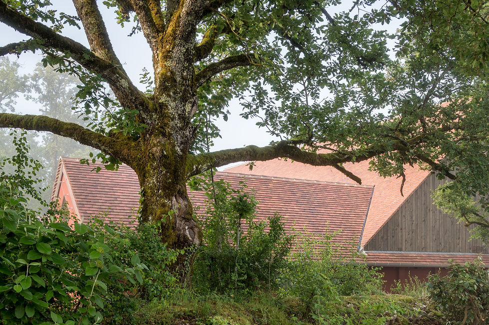 Collonges-la-Rouge-024.jpg
