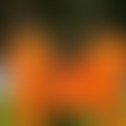 Neu-Coach Chris Bothe startet mit Derbysieg in die neue Saison