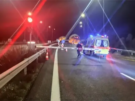 Εγνατία. Ουρές λόγω αδέσποτου!