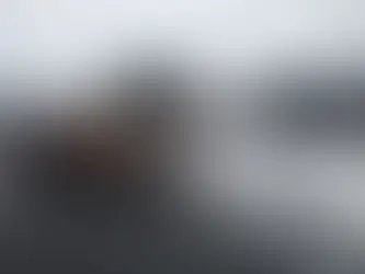 Πρώτο χιόνι για το 2026 στο Σέλι!