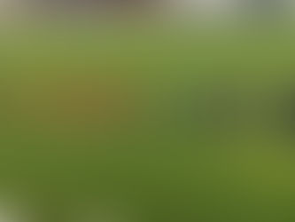 Επιστροφή στις νίκες και ανάσα για τη Βέροια. 3-0 τον Θεσπρωτό