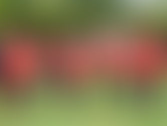 Σέντρα με Απόλλωνα στη Λάρισα για τη "Βασίλισσα"