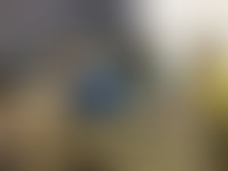 Εκλογές στο σωματείο συνταξιούχων ΟΑΕΕ Νάουσας