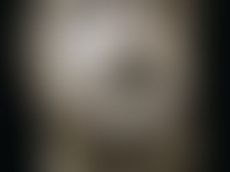 Κοτταρίδη: Στις Αιγές οι πιο αυθεντικές απεικονίσεις Αλέξανδρου και Φιλίππου