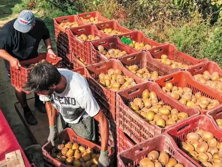 ‘Τρέχει’ η συμφωνία για εργάτες γης από Αίγυπτο