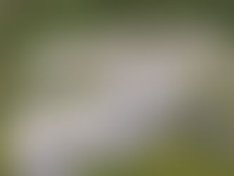 Πρόσκληση Τελετής Θεμελίωσης Νέου Διοικητηρίου